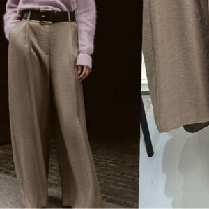 Zara viral gold pants